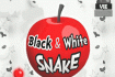 Jeu Black and White Snake