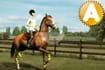 Jeu My Horse