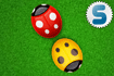 Jeu Cocci Bugs