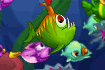 Jeu Hungry Fish
