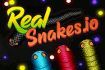 Jeu RealSnakes.io