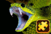Jeu Snake Puzzle Challenge