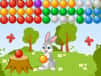 Jeu Tir aux Bulles avec Lapinou
