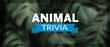 Jeu Quiz Animalier: Testez vos Connaissances sur la Faune Sauvage!