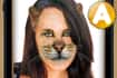 Jeu Animalize
