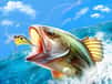 Jeu Baron de la Pêche: Aventure Halieutique