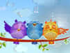 Jeu Puzzle des Oiseaux Fantaisie