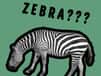 Jeu Le Quiz le Plus Simple du Monde