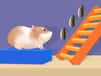 Jeu Labyrinthe des Hamsters Empilés