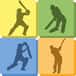 Jeu Quicket: Le Cricket Puzzle Addictif