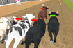 Jeu Angry Bull Racing
