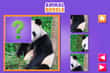 Jeu Animal Puzzle Game