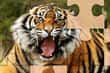 Jeu Tigres Puzzles