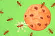Jeu Ants vs Cookie