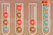 Jeu Ball Color Sort Puzzle