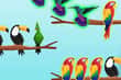 Jeu Bird Sort Challenges