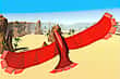 Jeu Bird Surfing
