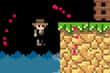 Jeu Brave Adventure
