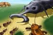 Jeu Bug War