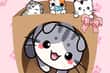 Jeu Cat Condo