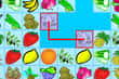 Jeu Connect Fruits et Légumes