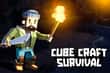Jeu Cube Craft Survival