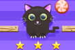 Jeu Cut for Cat Challenge