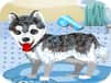 Jeu Mon Adorable Chien au Bain