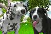 Dog Simulator 3D