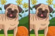 Jeu Différences Chiens 2