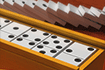 Domino Multijoueur