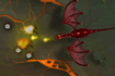 Dragon Flame