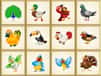 Jeu Défis des Oiseaux: Jeu des Différences Express