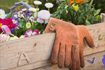 Flower Garden 2