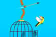 Jeu Free Birds