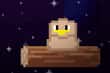 Jeu Infinite Bird