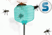 Insecto Smash