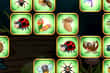Combine les Insectes