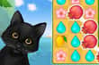 Island Puzzle
