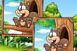 Jeu 5 Différences Jungle