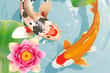 Jeu Koi Fish Pond