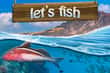 Let
