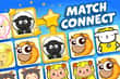 Jeu Match Connect