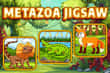 Jeu Metazoa Jigsaw