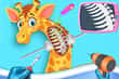 Jeu Clinique Vétérinaire Animaux Sauvages