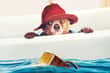 Jeu Paddington
