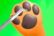Jeu Soin des Pattes