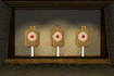 Jeu Pistol Training
