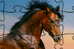 Jeu Puzzle d