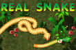 Jeu Real Snakes
